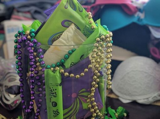 mardi-bras-party